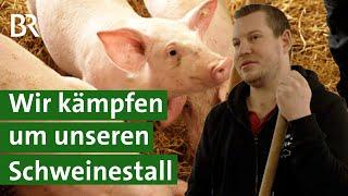 Schweinehalter vor dem Aus: Ärger mit den Nachbarn und fehlende Baugenehmigung | Unser Land | BR