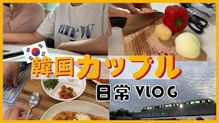 【vlog】 韓国カップルの平凡な日常