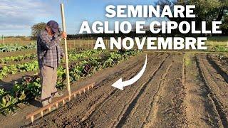 La SEMINA dell’AGLIO e delle CIPOLLE a NOVEMBRE!