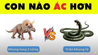 Chinh Phục Được 17 Câu Đố Siêu Khủng Long Này Bạn Sẽ Trở Thành Nhà Sử Học Vĩ Đại | Nhanh Trí