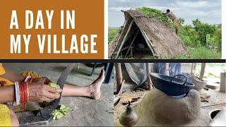 A Day in My Village | Rural Odisha life | ଆମ ଗାଁରେ ଗୋଟେ ଦିନ