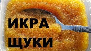 ИКРА ЩУКИ РЕЦЕПТ ПРИГОТОВЛЕНИЯ РАЗДЕЛКА РЫБЫ РЫБАЛКА НА КУБАНИ СЮФ