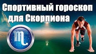 Спортивный гороскоп для Скорпиона. Каким видом спорта лучше заняться .Гороскоп здоровья и красоты.