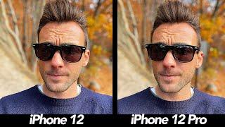 iPhone 12 vs iPhone 12 Pro Real World Camera Comparison! Are They The Same?