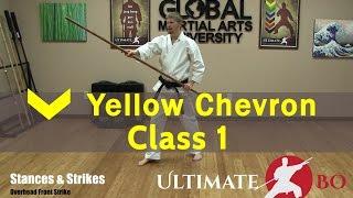 Bo Staff Class for Complete Beginners - Yellow Chevron - Class #1