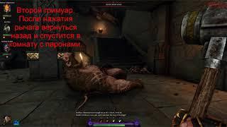 Warhammer: Vermintide 2 - Into the Nest - Все тома и гримуары