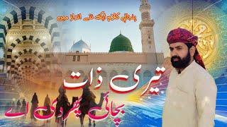 Meri Zaat Nu Sonia darta || New Punjabi Naat Sharif | Muhammad Naveed