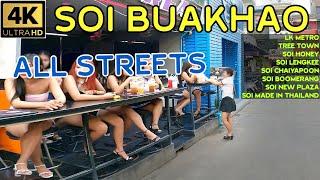 I drive thru all Soi on Soi Buakhao   2024 Pattaya Thailand