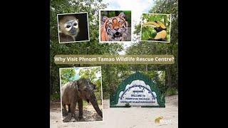 Cambodian tourist: Why I love Phnom Tamao Wildlife Rescue Centre