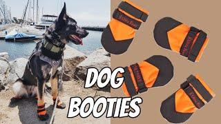 Dog Booties & Why You Need Them - Ultra Paws Dog Boots Review