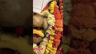 18/3/2024 jay mata dee