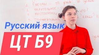 ЦТ В9. Самостоятельные части речи