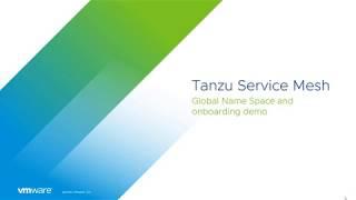 VMware Tanzu Service Mesh (demo)