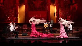 Flamenco in Barcelona | Palau de la Música Catalana