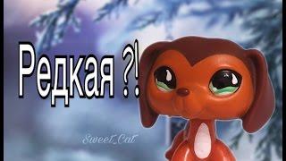 Lps:САМАЯ РЕДКАЯ ТАКСА / САВВИ ИЗ ПОПУЛЯРА ?! читать описание