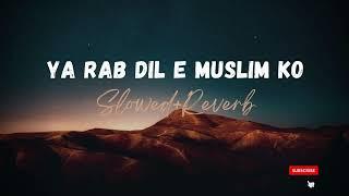 Ya Rab Dil e Muslim Ko || Nasheed || Kalame Iqbal  || slow & reverb. 