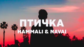 HammALi & Navai - Птичка Lyrics