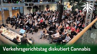 Verkehrsgerichtstag diskutiert Cannabis | DHV-News # 454