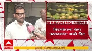 Nagpur Orange Farming | पंतजली प्लांटमुळे विदर्भातील संत्रा उत्पादक शेतकऱ्यांना अच्छे दिन ABP Majha