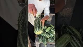 Beautiful Nature - Inspur Fresh Fruit wonderful video of  Industry #0019