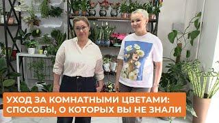 Уход за комнатными цветами:способы, о которых вы не знали