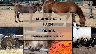 Hackney City Farm | London