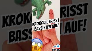  Krokodil frisst Bassisten auf!  #lautlos #starfm #nero #alligator