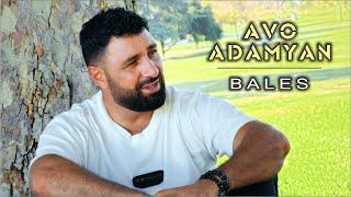 Avo Adamyan - Bales