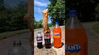 Popular Coke Sodas Vs Mentos (Coke, Sprite, Fanta) #satisfying #experiment #asmr