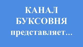 Здравствуй, чужая милая Еду, еду я КАНАЛ БУКСОВНЯ фрагменты стрима от 20 01 2024г