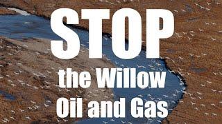 STOP THE WILLOW PROJECTS