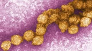 Mosquito Meets MODIS:  South Dakota Fights West Nile Virus