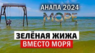 Отдых в Анапе под угрозой, море цветёт. Анапа 2024 центральный пляж, высокий берег новая набережная.