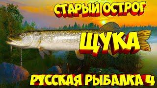 русская рыбалка 4 - Щука озеро Старый Острог - рр4 фарм Алексей Майоров russian fishing 4