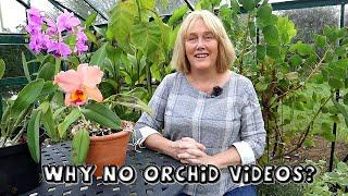 What Happened to my Orchid Collection || Why I Haven't Been Making Orchid Videos