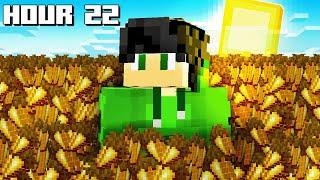 Can You Farm 1,000,000 Golden Carrots in 24 Hours in Minecraft Hardcore?