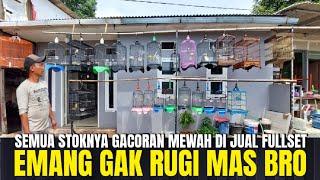 KIOS JEMPOLAN ! BURUNG GACORAN MEWAH SEMUA DI JUAL FULLSET GRATIS SANGKAR ! EMANG GAK TEKOR BRO ?