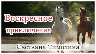 "Воскресное приключение"  - христианский рассказ из сборника "Секрет Радости". Светлана Тимохина.