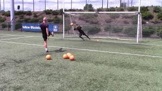 goalkeeper session with matt gregg( just for keepers dublin)