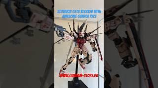 Slovakia gets blessed with awesome Gunpla kits #slovakia #gundam #gunpla #hobby #modelkit #anime