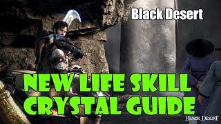 [Black Desert] New Life Skill Crystal Guide! Land of Morning Light! 160 Mastery or 80% EXP!