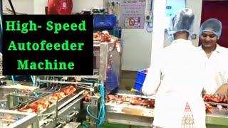 High Speed Autofeeder Pouch Packing Machine  | Xtreme planning