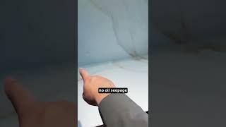 Sintered stone vs. quartz countertops?