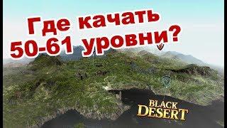 Black Desert (MMORPG) - Новая быстрая прокачка 50-61  Карта спотов в BDO