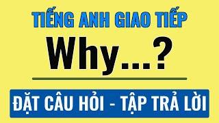 Luyện tập hỏi đáp tiếng Anh với Why