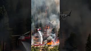 " Helicopters and Fire Trucks Unite to Combat Forest Fire."