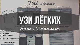 УЗИ легких: Норма и Пневмоторакс