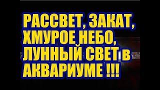 Светодиодный LED светильник для Аквариума. Тест режимов Контроллера. Освещение, свет в Аквариуме