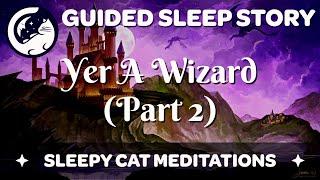 The Journey to Hogwarts - 'Yer A Wizard' (Part 2/4) Harry Potter Inspired Sleep Story Meditation