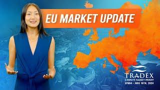 3MMI - EU Market Update: Q2 2024